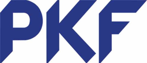 PKF WULF & PARTNER Logo